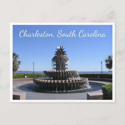 Charleston SC South Carolina, USA Waterfront Park Postkarte (Vorderseite)