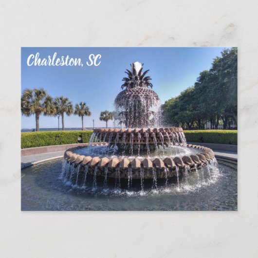 Charleston South Carolina Ananas Fountain Postkarte (Vorderseite)