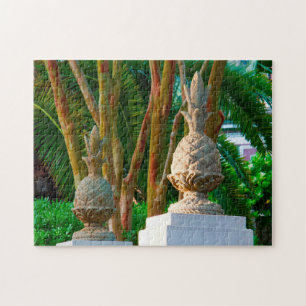 Charleston South Carolina. Puzzle