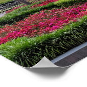 Charleston, South Carolina, USA Poster (Ecke)