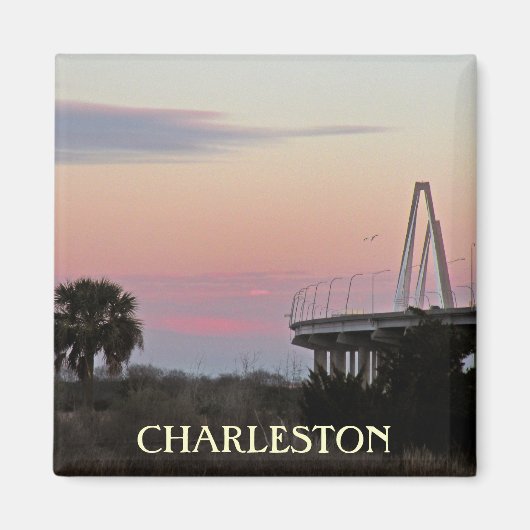 Charleston Souvenir Foto Magnet (Vorne)