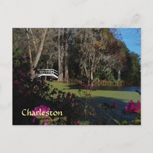 Charleston Swamp Garden Postcard Postkarte (Vorderseite)