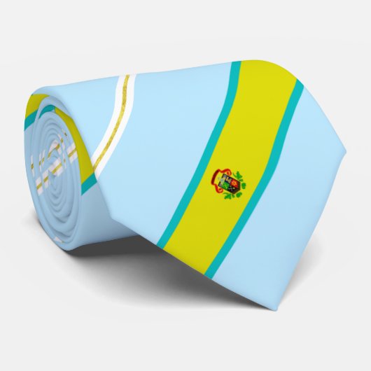Charleston (West Virginia) Stadtflagge Neck Tie Krawatte (Gerollt)