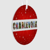 Charlevoix Michigan Travel Fotos Weihnachten Ornament (Vorderseite)