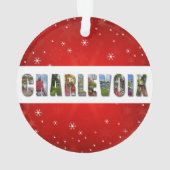 Charlevoix Michigan Travel Fotos Weihnachten Ornament (Rückseite)