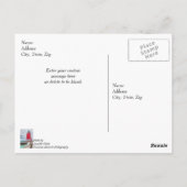 Charlevoix South Pierhead Lighthouse Vielen Dank Postkarte (Rückseite)