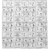 Charlie Browns Erinnerungen am Pitcher-Berg Duschvorhang (Vorderseite)