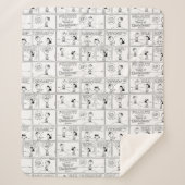 Charlie Browns Erinnerungen am Pitcher-Berg Sherpadecke (Vorderseite)