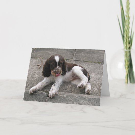 Charlie der Springer! Karte (Vorderseite)