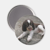 Charlie der Springer! Magnet (Vorderseite/Rückseite)