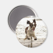 Charlie der Springer! Magnet (Vorderseite/Rückseite)