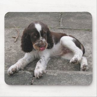 Charlie Der Springer! Mousepad