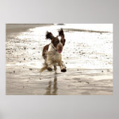 Charlie der Springer! Poster (Vorne)