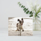 Charlie der Springer! Postkarte (Stehend Vorderseite)