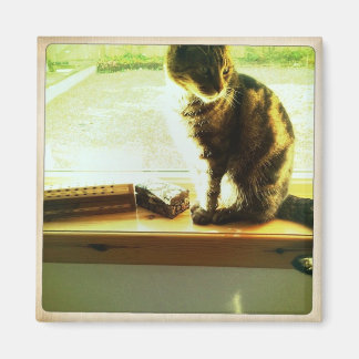 Charlie im Fenster Magnet