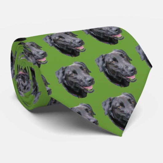 Charlie Krawatte (Gerollt)