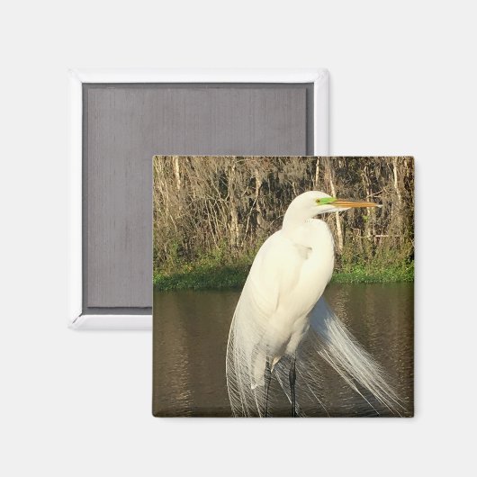 Charlie Magnet (Vorderseite/Rückseite)