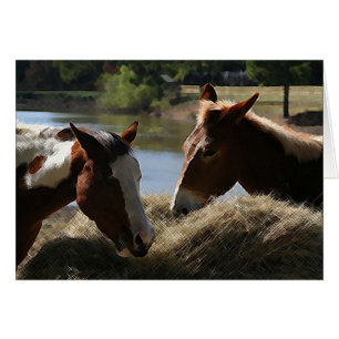 Charlie-Maultier und Dulce Maria