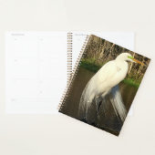 Charlie Planer (Anzeige)