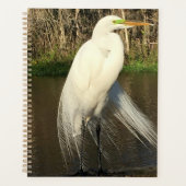 Charlie Planer (Vorderseite)