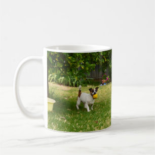 Charlie The Fox Terrier Ball Play, Kaffee Tasse