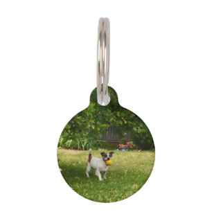 Charlie The Fox Terrier Ball Play, Pet Tag Haustiermarke