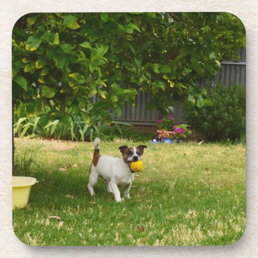 Charlie The Fox Terrier Ball Play, Untersetzer (Vorderseite)