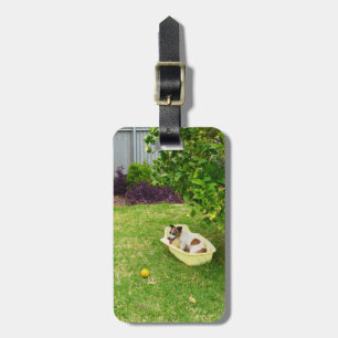 Charlie The Fox Terrier Bath Time, Gepäckmarke Gepäckanhänger