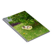 Charlie The Fox Terrier Bath Time, Notebook Notizblock (Rechte Seite)
