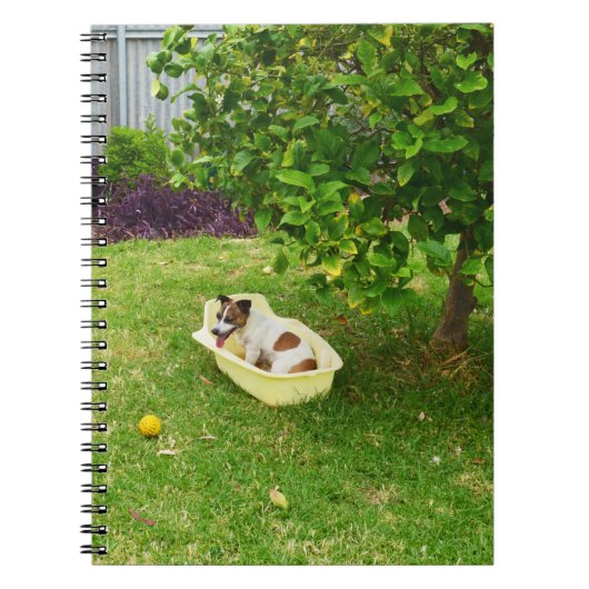 Charlie The Fox Terrier Bath Time, Notebook Notizblock (Vorderseite)