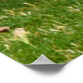 Charlie The Fox Terrier Play Time, Poster (Ecke)