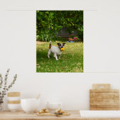 Charlie The Fox Terrier Play Time, Poster (Küche)