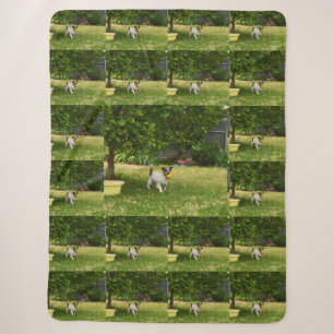 Charlie The Fox Terrier Play Time, Sherpa Blanket Sherpadecke