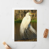 Charlie The Great Egret Mitteilungskarte (Vorderseite/Rückseite Beispiel)