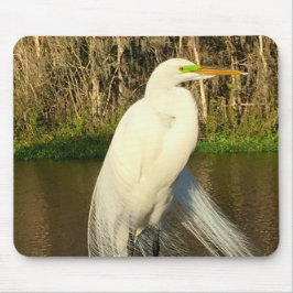 Charlie The Great Egret Mousepad