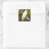 Charlie The Great Egret Quadratischer Aufkleber (Tasche)