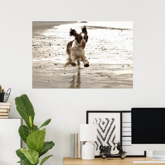 Charlie The Springer Poster (Heimbüro)