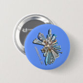 Charlotte 2012 button (Vorne & Hinten)