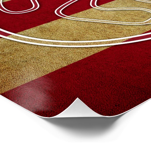 Charlotte Motor Speedway Poster (Ecke)