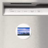 CHARLOTTE NC MAGNET (In Situ (Geschirrspüler))