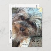 Charlotte & Shadow Friends Postkarte (Vorne/Hinten)