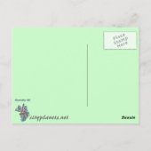 Charlotte Skyline Postkarte (Rückseite)