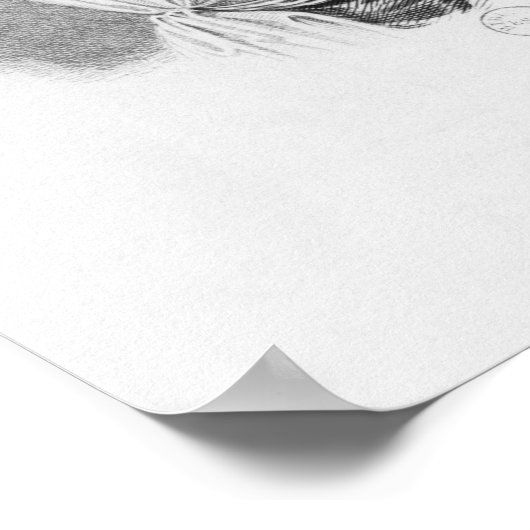 Charlotte von Stein, geboren von Schardt, spät Poster (Ecke)