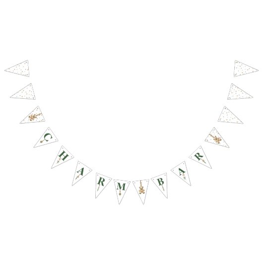 Charm Bar Baby Shooting Banner (Alle)