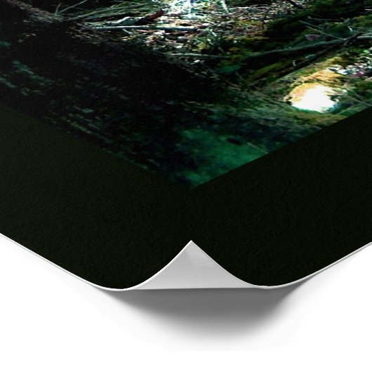 Charm-Wald Poster (Ecke)