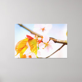 Charmante Chic Sakura Blume und Blätter im Frühjah Leinwanddruck