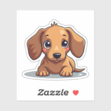 Charmante Dackel Pup, große braune Augen, kleine