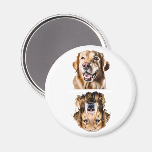 Charmante Geschirrspülmaschine für Golden Retrieve Magnet (Vorderseite/Rückseite)