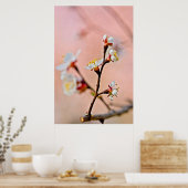 Charmante japanische Aprikosenblüten Poster (Küche)