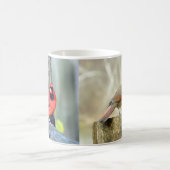 Charmante Kardinäle (Männer und Frauen) Tasse (Mittel)